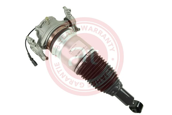 Air Suspension Strut